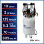 California Air Tools 10020DC-22060 2.0 HP Ultra Quiet Oil-Free 10 Gallon Air Compressor with 80% Air Dryer, 220V